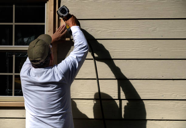 Best Historical Building Siding Restoration  in Shorewood Forest, IN